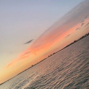 Meet your Posher, Ebony